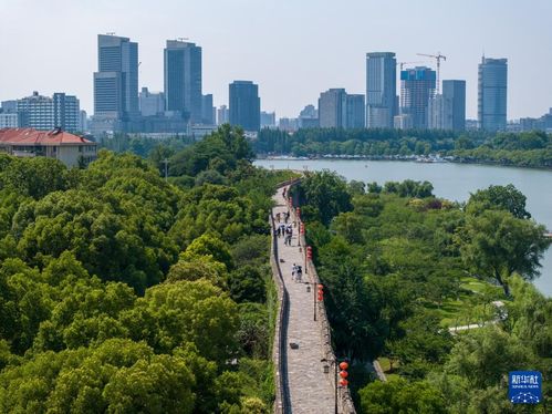 解码文化自信的城市样本丨南京 赓续历史文脉,谱写当代华章