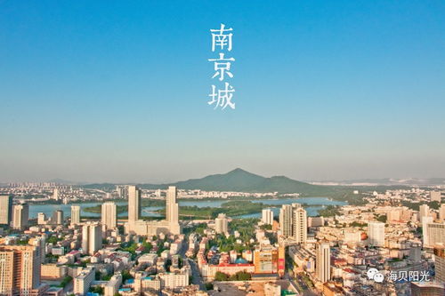 系列四 36计变形 城市生存挑战南京五日营