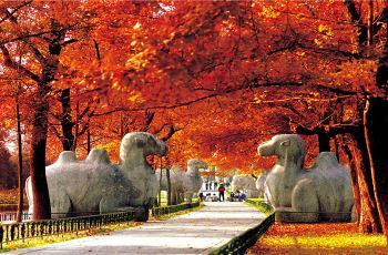南京十大秋季旅游景点 金陵秋天最美的地方推荐
